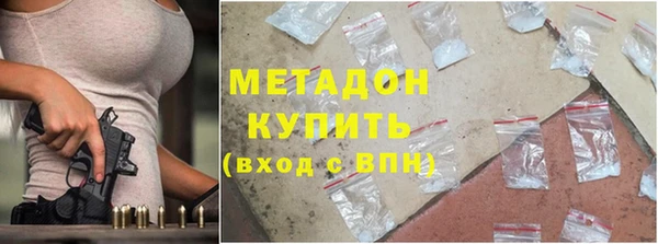 гашик Алексин