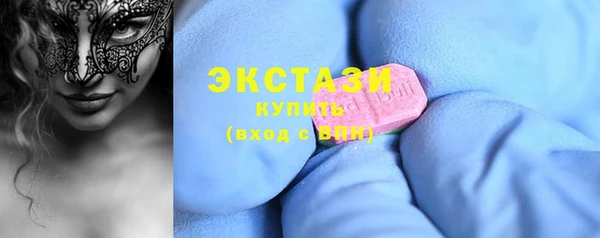 гашик Алексин