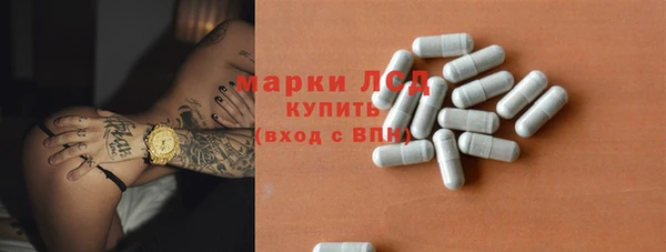гашик Алексин