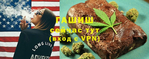гашик Алексин