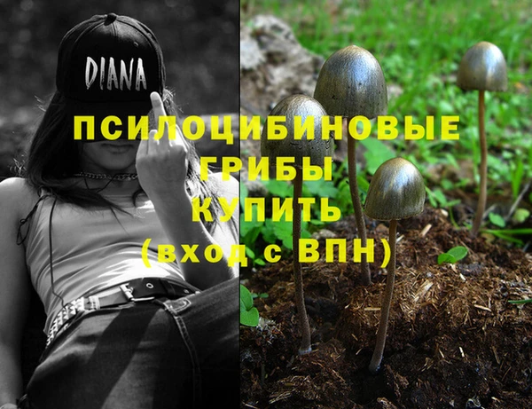 МДМА Алексеевка